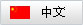 中文